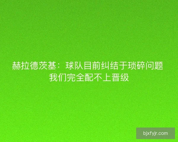 赫拉德茨基：球队目前纠结于琐碎问题 我们完全配不上晋级
